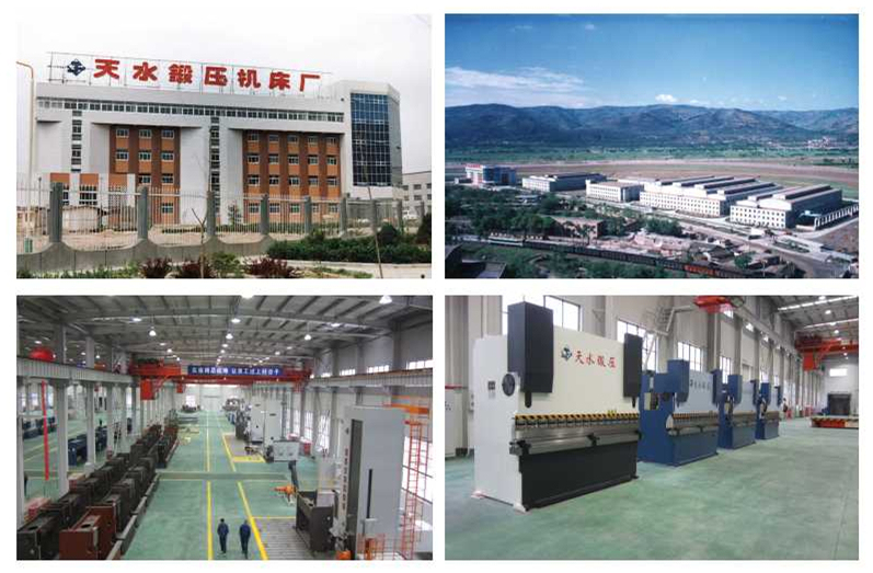 Shearing Machine/Hydraulic Guillotine/Hydraulic Shearing Machine (QC12Y-12*4000)