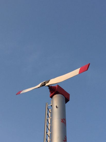 Frost Protection Wind Fan​ for Kiwi or Kiwiberry Tree (FSJ-85)