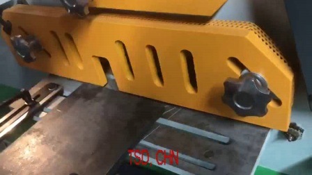 Ironworker Shear with Punching (Q35Y-30)