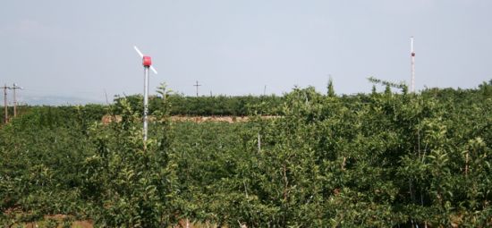 Orchard Fan for Farms (FSJ-85)